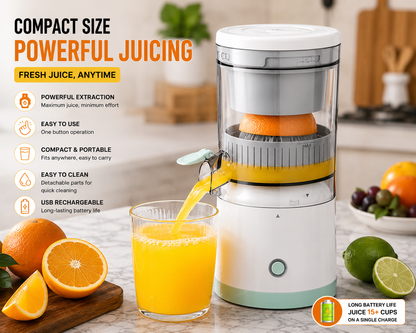 Compact and Powerful Fruit Juicer
