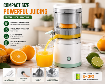 Compact and Powerful Fruit Juicer